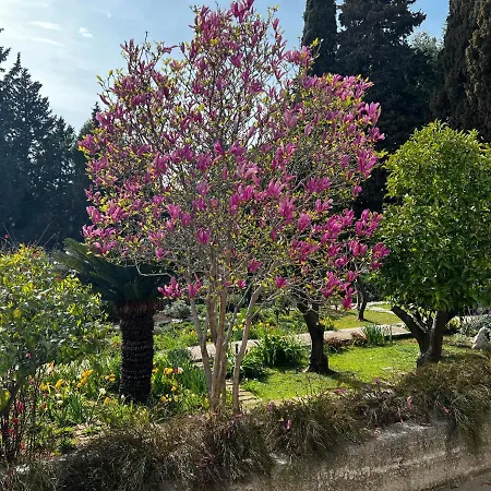 Διαμέρισμα Lili Mar, 2-bedroom With Private Parking Ντουμπρόβνικ