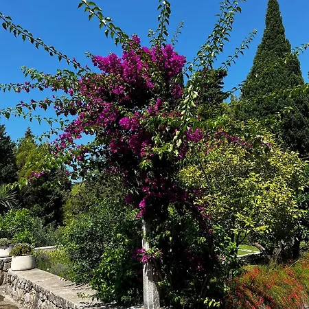 Lili Mar, 2-bedroom With Private Parking * Ντουμπρόβνικ